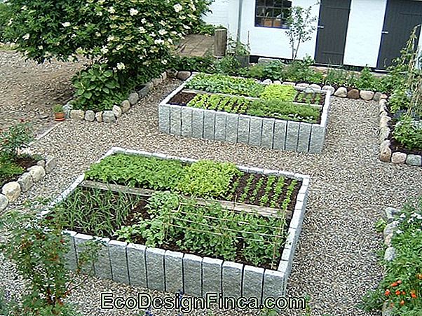 Find Ud Af Hvordan Stihl Ideas Garden-Arrangementet Var