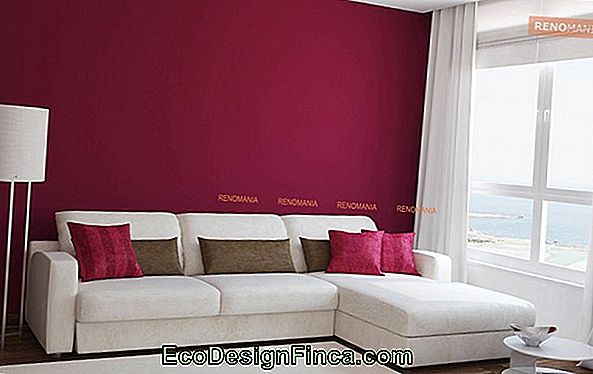 85 Living Room Color Ideas