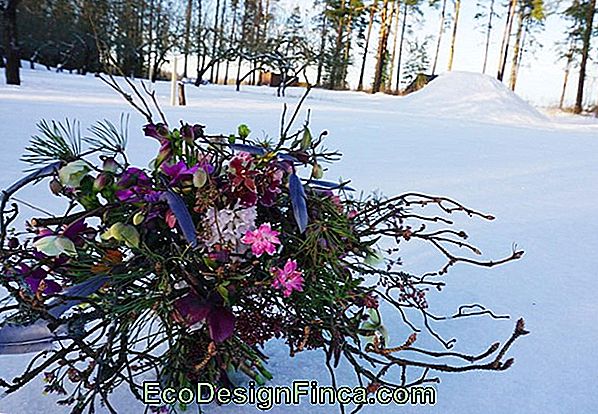 Hvordan Man Laver Smukke Blomsterbuketter