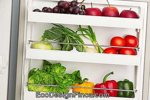 Hvor Længe Er Frugter, Grøntsager Og Grøntsager I Køleskabet