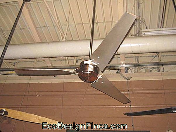 Loft Fan!