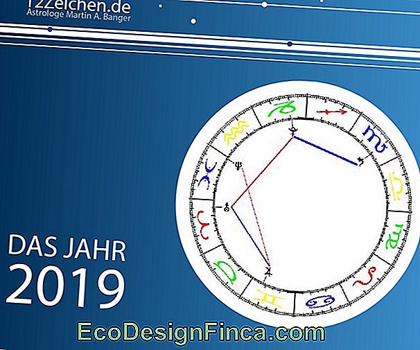 Horoskop Und Prognose 2019 Zeichen Des Wassermanns