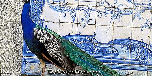 Schablone, Die Portugiesische Azulejos Art In Der Sarajean Taschen-Tasche Malt