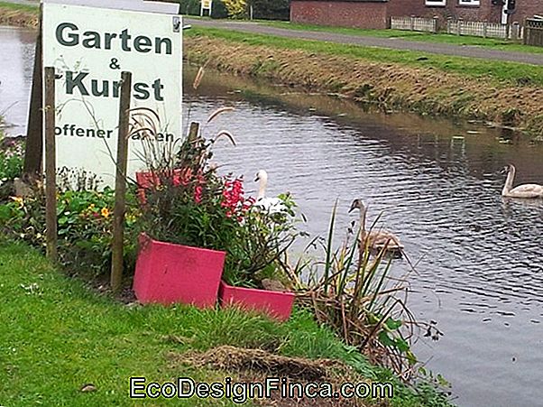 Garten Kunst Kulturwettbewerb