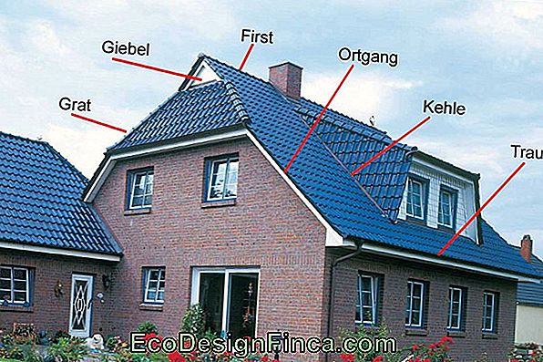 Dächer: Was Sind Die Teile Eines Daches?