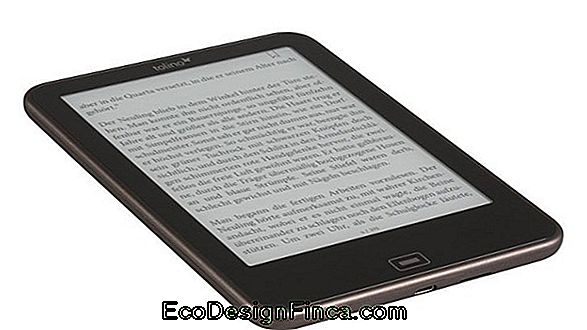 E-Readers: Lesen Sie Hochwertige Digitale Bücher