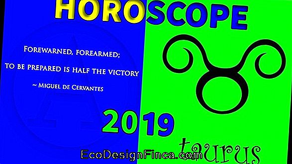 Horoscope And Forecast 2019 Taurus Sign