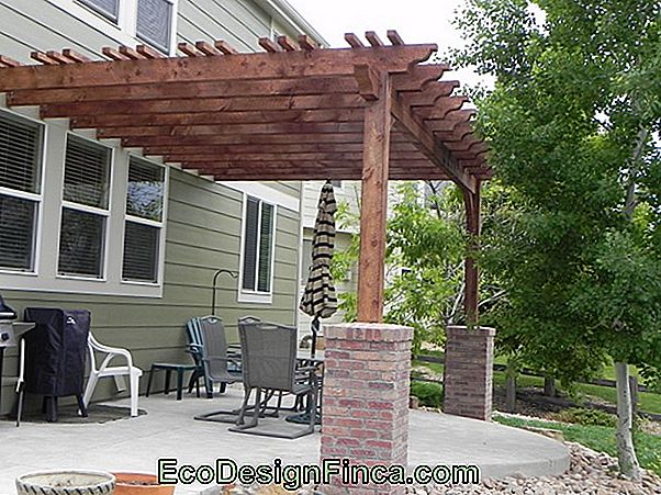 Wooden Trellis - How To Use In Decoration & 62 Amazing Ideas!