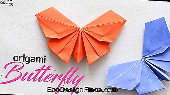 Butterfly Folding - Impara Come Farlo In Modo Semplice E Facile!