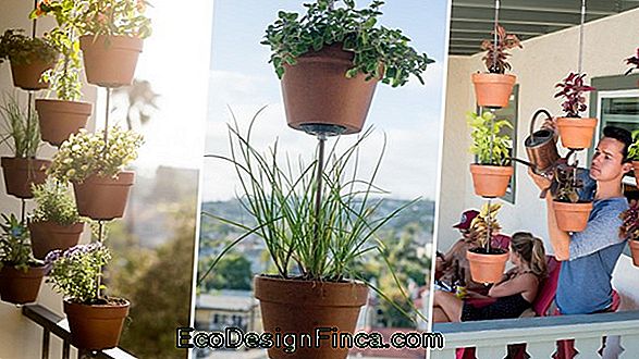 Garden In Apartment: 56 Creative Ideas To Grow Fresh Spices!