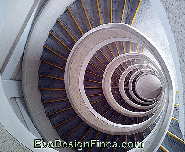 Snail / Spiral Staircase: Measures, Designs And Models!