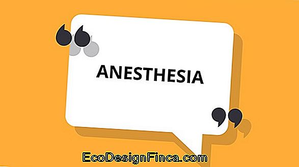 Main Types Of Anesthesia...