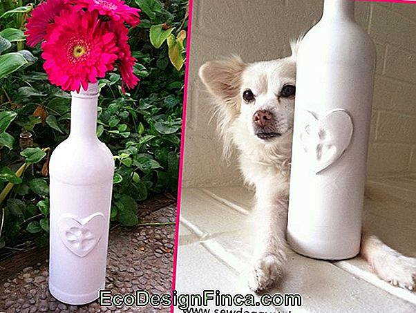 Cat Shaped Pet Bottle Vase