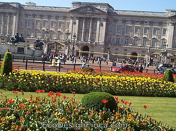 Wedding Celebration In The Gardens Of Buckingham Palace