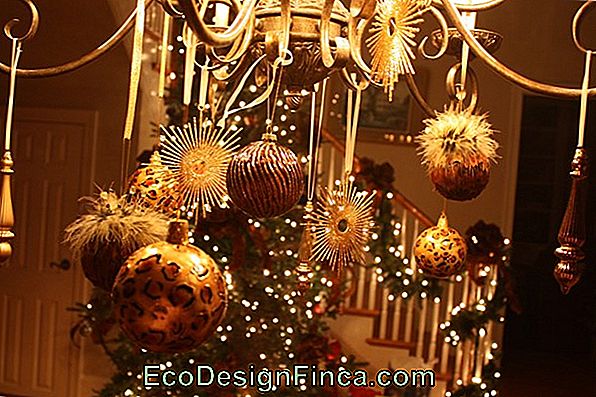 Four Ideas To Decorate Your Garden For Christmas