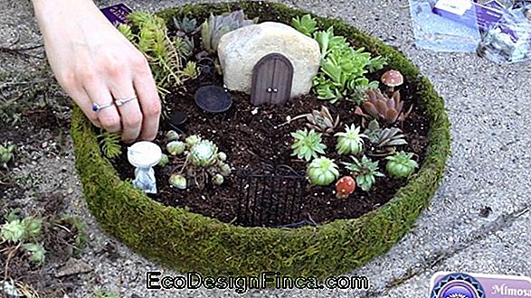 Make The Miniature Of Your Garden
