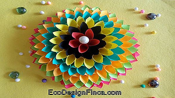 Handicraft With Gourd: Photos, Templates And Tips For Decorating