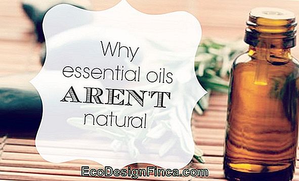 Essential Oils: Nature'S Smell