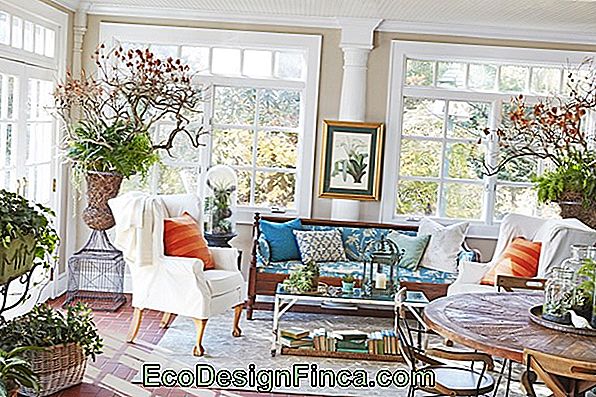Wicker Furniture: See 60 Inspirations To Decorate With Photos