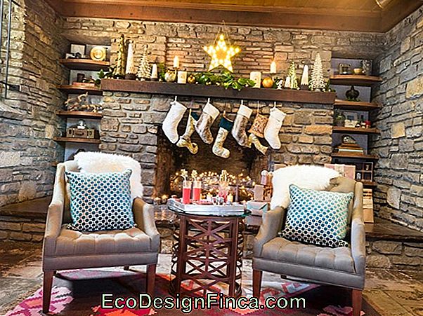 Rustic Furniture: See How To Decorate Your Home With This Item