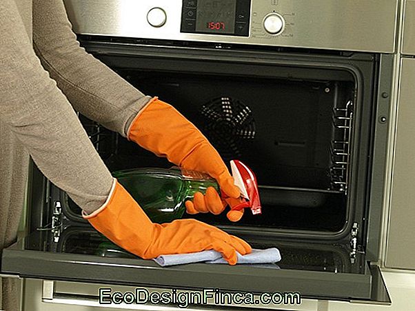 How To Clean Oven: Practical Tips For Having An Oven Always Clean