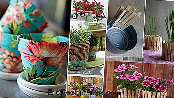 Cement Pot: Learn How To Make 60 Creative Inspirations