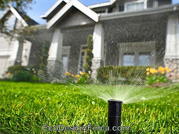 Tips For Home Garden Irrigation
