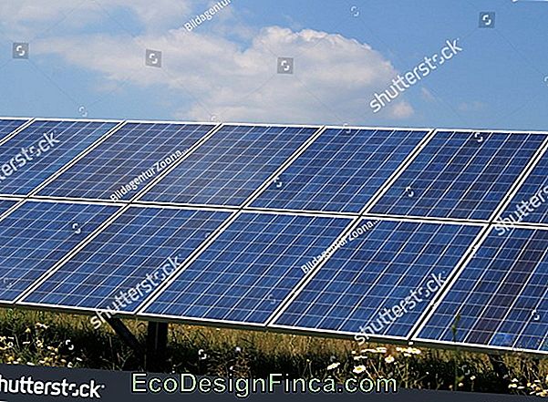 Alternative Energy And Photovoltaic Systems