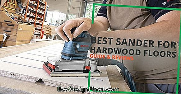 The Best Sander For Your Need