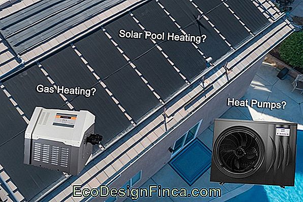 Gas And Electric Swimming Pool Heating