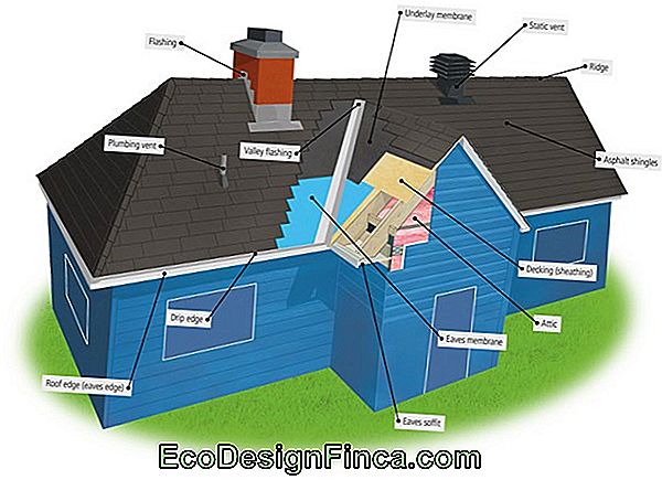 Roofing: What Are The Parts Of A Roof?