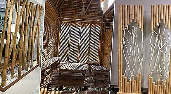 Use Of Bamboo In Interior Decoration