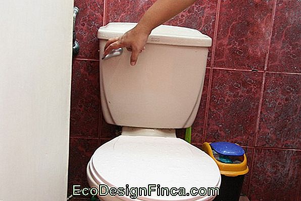 Installation Of The Toilet... How To Do It?