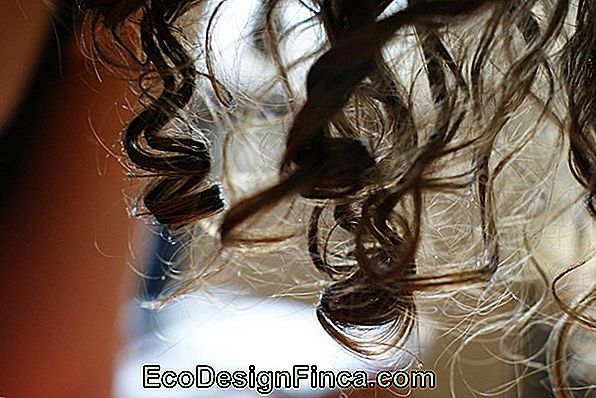 Hair Dryers: Tips, Problems And Solutions!