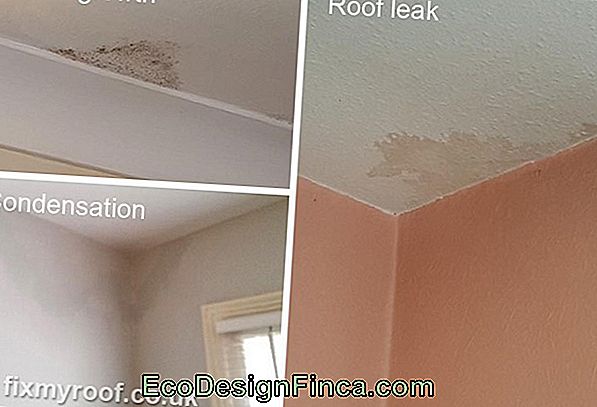 How To Remove Moisture Stains From Walls, Ceilings And Baseboards!