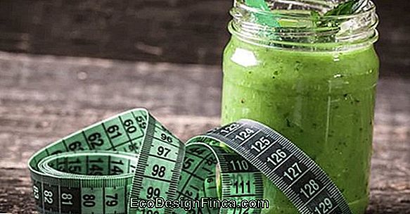 acelerador del metabolismo en farmacias Mentalidad