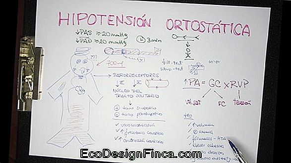 ¿Qué Es La Hipotensión Ortostatica?