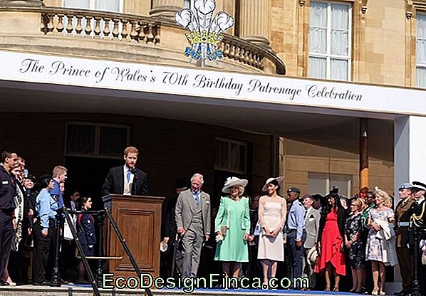 Celebración De La Boda En Los Jardines Del Palacio De Buckingham