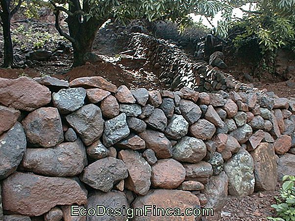 Texture De Mur: Techniques Et Utilisations Dans La Décoration!