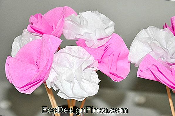 Cadeaux Roses En Papier Epicéa