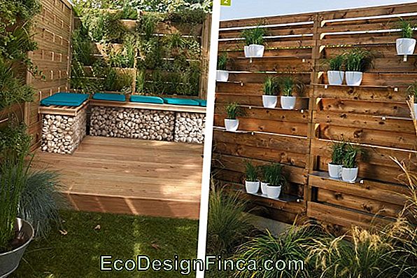 Qu Es Un Jardn Vertical  Evolucin Y Beneficios