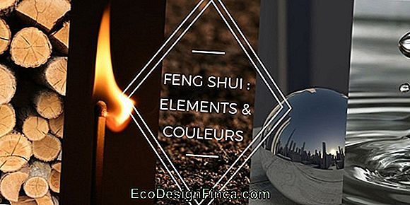 Feng Shui Conseils Pour Rendre Votre Maison Harmonieuse