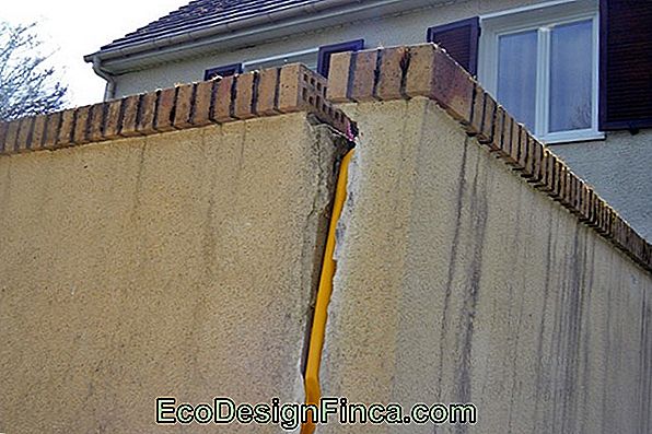 Trinks Et Fissures Sur Les Murs. Comment L'Éviter Ou Le Réparer!