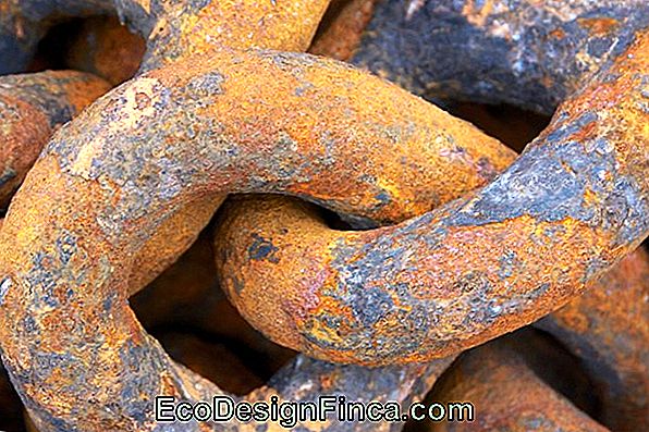 Comment Enlever La Rouille Des Objets En Fer 🏡 Construction