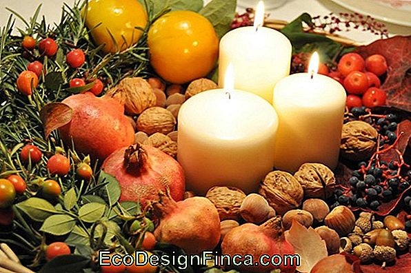 Albero Di Natale Dei Frutti - Come Fare E 25 Splendide Ispirazioni!