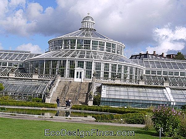 La Serra Del Conservatorio Di Garfield Park