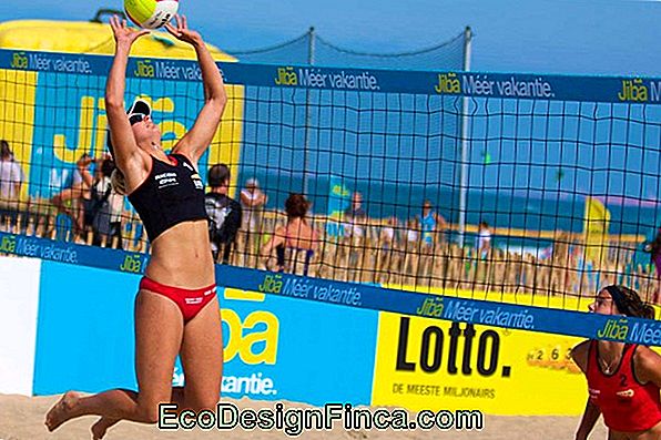 Regole Di Pallavolo E Beach Volley