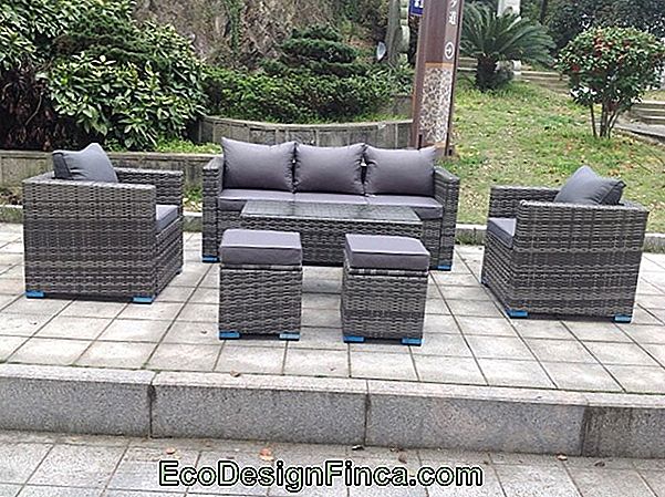 Wicker Sofa - 60 Nuostabių Ir Šiuolaikinių Modelių, Patarimų Ir Patarimų!