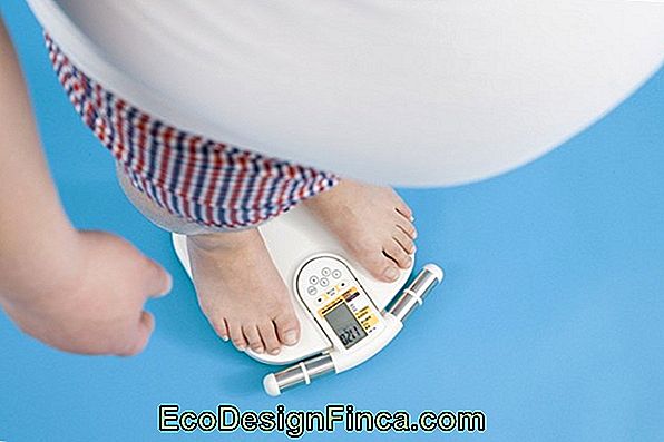 svorio praradimo dėl nutukimo nauda