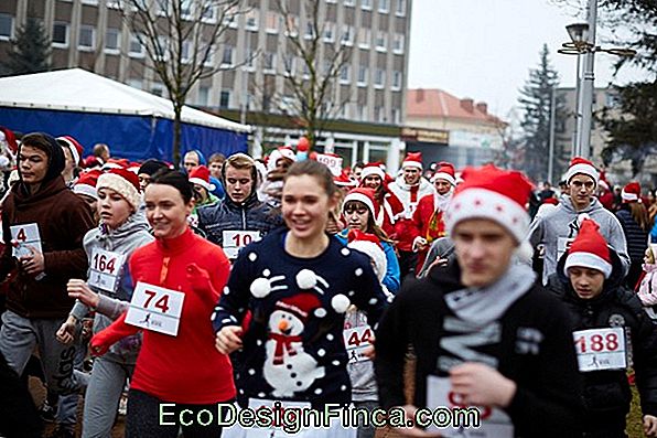 Stalo Bėgikų Trikampiai Persipynę - Kalėdos!